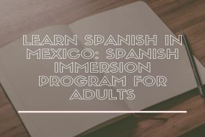 Spanish immersion programs in Mexico