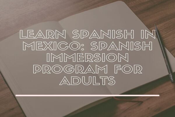 Learn Spanish in Mexico: Spanish Immersion Program for Adults